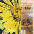 Robert Pollard - Not in my airforce (LP) - Discords.nl