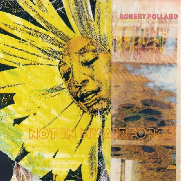 Robert Pollard - Not in my airforce (LP) - Discords.nl