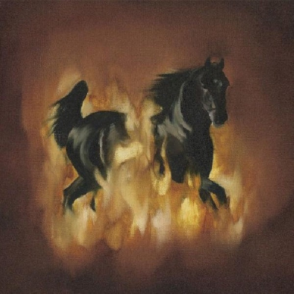 Besnard Lakes - Are the dark horse (LP) - Discords.nl