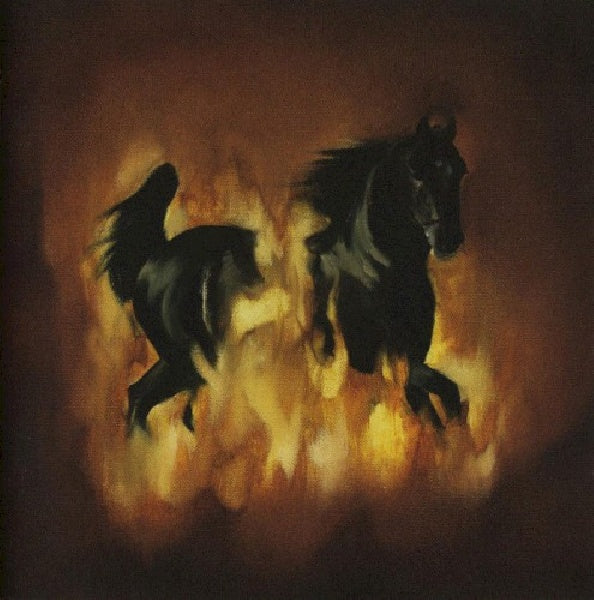 Besnard Lakes - Are the dark horse (CD) - Discords.nl