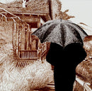 Grails - Deep politics (CD) - Discords.nl