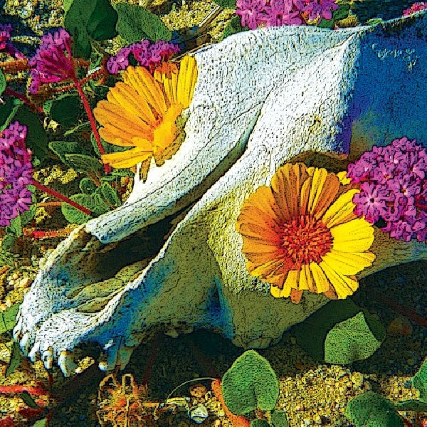 Dali's Llama - Mercury sea (CD) - Discords.nl