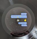 Arab Strap - I'm Totally Fine With It ? Don't Give A Fuck Anymore ? (LP) - Discords.nl