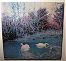 Affinity (4) - Affinity (LP Tweedehands) - Discords.nl