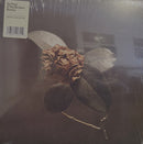 St. Paul & The Broken Bones - Young Sick Camellia (LP)