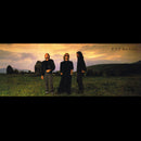 Bee Gees - E·S·P (LP Tweedehands)