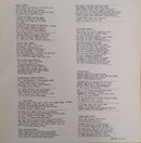 Michael Chapman - Pleasures Of The Street (LP Tweedehands)