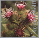 Christian Wolff - Burdocks (CD) - Discords.nl