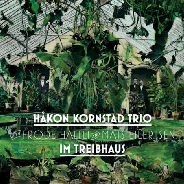 Hakon Kornstad - Im treibhaus (CD)