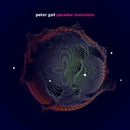 Peter Gall - Paradox dreambox (CD) - Discords.nl