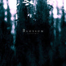 Lustre - Blossom (CD) - Discords.nl