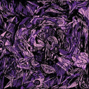 Great Waste Of Time - Instead of nothing al all (LP) - Discords.nl