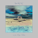 Steve Von Till - A deep voiceless wilderness (CD) - Discords.nl