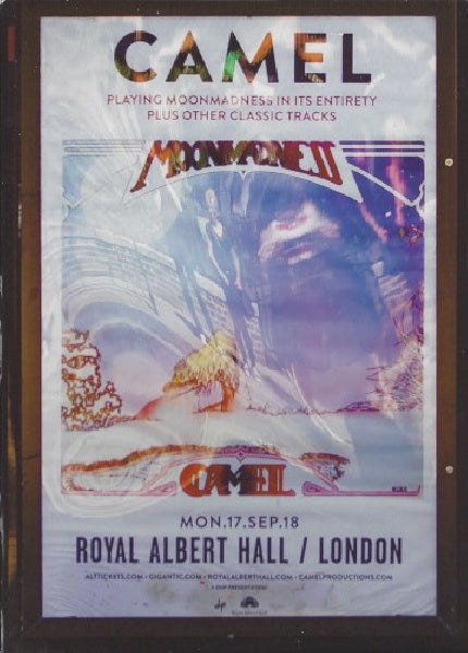 Camel - At the royal abert hall (DVD / Blu-Ray)