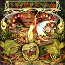 Spyro Gyra - Morning dance (CD) - Discords.nl
