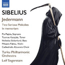 Turku Philharmonic Orchestra/segerstam-leif/cathed - Orchestral works- vol. 4 (CD) - Discords.nl
