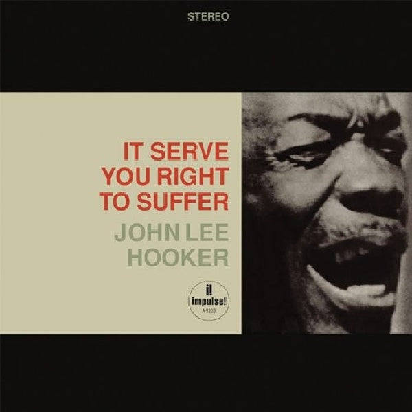 John Lee Hooker - It serves you right (CD) - Discords.nl
