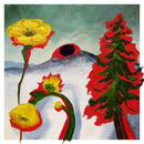 Woods - Strange to explain (CD) - Discords.nl