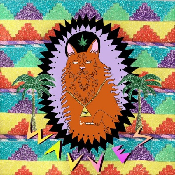 Wavves - King of the beach (CD) - Discords.nl