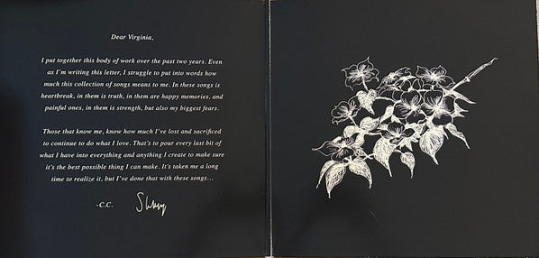 Shaboozey - Where I've Been, Isn't Where I'm Going (LP) - Discords.nl