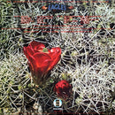 Eagles - Eagles  (LP) - Discords.nl