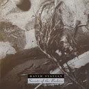 David Sylvian - Secrets Of The Beehive (CD Tweedehands)