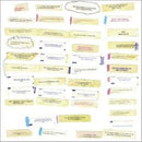 Bitchin Bajas & Bonnie Prince Billy - Epic jammers and fortunate little ditties (LP) - Discords.nl