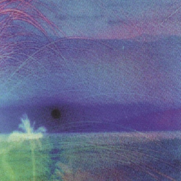 Flying Saucer Attack - Goodbye -mcd- (CD) - Discords.nl