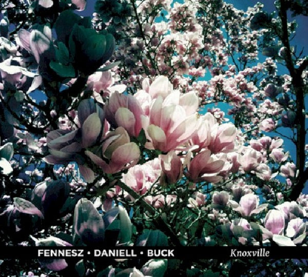 Fennesz/daniell/buck - Knoxville (CD) - Discords.nl