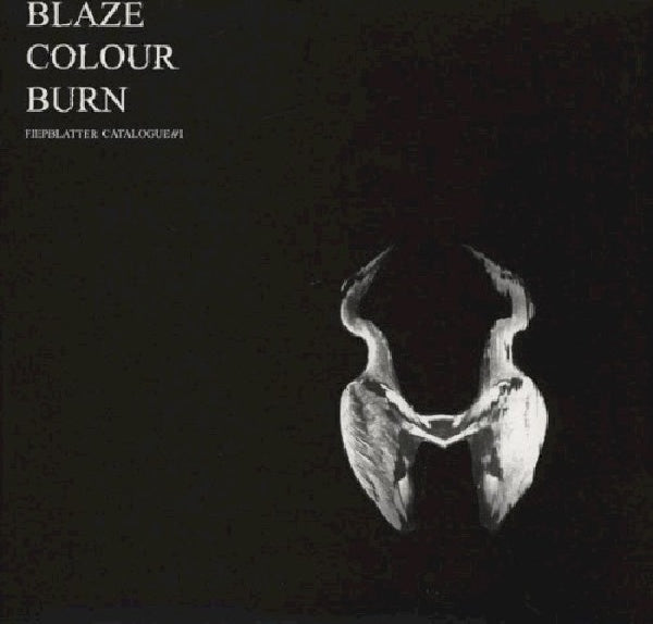 Jan Werner -st.- - Blaze colour burn (LP) - Discords.nl