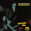 Joe Grushecky & The Houserockers - Swimming With The Sharks (CD Tweedehands)