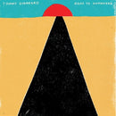 Tommy Guerrero - Road to knowhere (LP) - Discords.nl