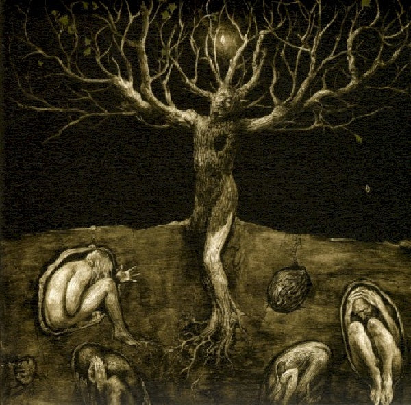 All Traps On Earth - A drop of light (CD) - Discords.nl