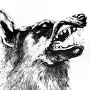 Crippled Black Phoenix - I, vigilante (CD) - Discords.nl