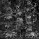 Secret - Agnus dei (CD) - Discords.nl