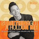 V/A (Various Artists) - Something got a hold on me: the ru-jac records story vol.1: 1963-1964 (CD) - Discords.nl