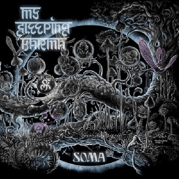 My Sleeping Karma - Soma (CD) - Discords.nl