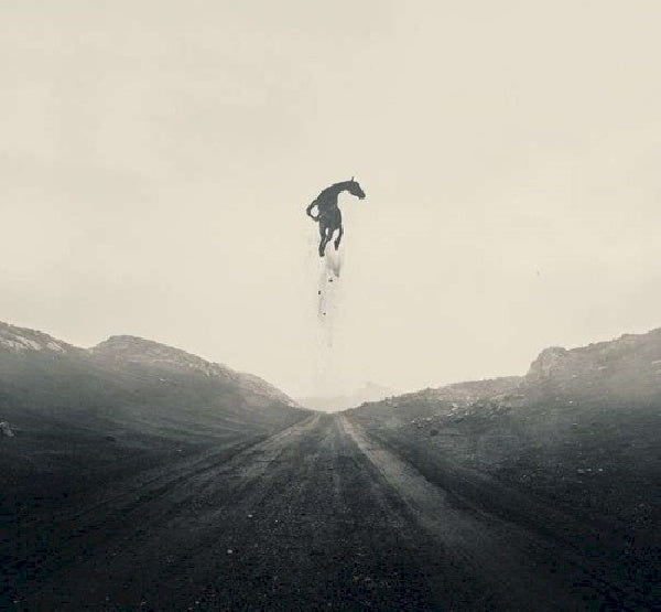 Crippled Black Phoenix - Great escape (CD) - Discords.nl