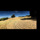 Eric Johnson - Ej vol. ii (CD) - Discords.nl