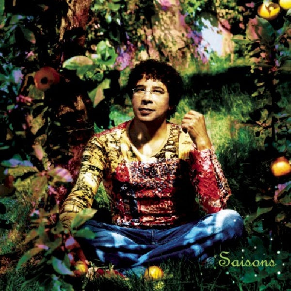 Laurent Voulzy - Saisons, le double best of (CD) - Discords.nl