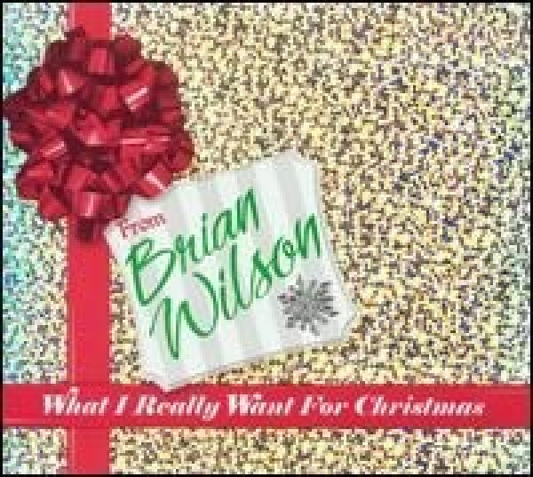 Brian Wilson - What i really want for... (CD) - Discords.nl