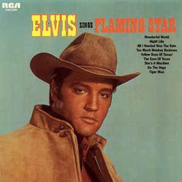 Elvis Presley - Flaming star (CD-single)