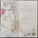 Ayla Brooke & The Sound Men - Desolation sounds (LP) - Discords.nl