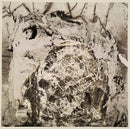 Radiohead - In Rainbows  (LP) - Discords.nl