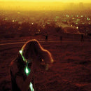 Neon Indian - Era extrana (CD) - Discords.nl