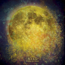 Nell - Holding onto gravity (CD) - Discords.nl