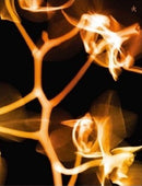 G I-dle - I burn (fire version) (CD) - Discords.nl