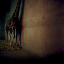 Alien Ensemble - Alien ensemble 2 (CD) - Discords.nl