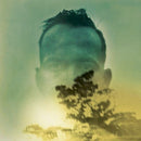 Duquette Johnston - Rabbit runs a destiny (CD) - Discords.nl