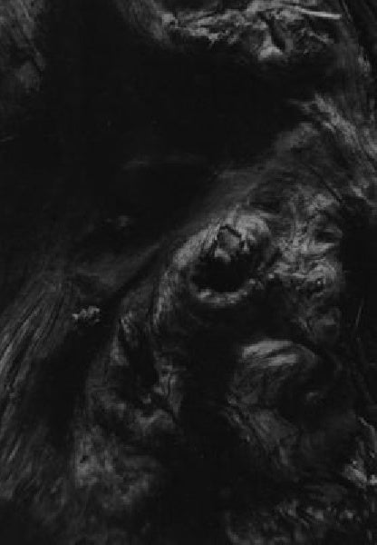 Paysage D'hiver - Steinechhe (CD) - Discords.nl